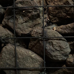 База отдыха Дедюха, Пермский край