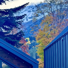 Гостевой дом Альбор , Республика Карачаево-Черкесия 