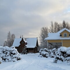 Коттедж «Терем Русская былина», Новгородская область