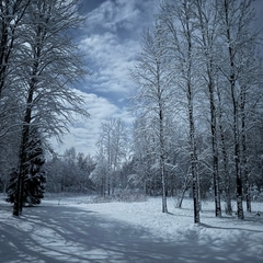 Коттедж «Терем Русская былина», Новгородская область