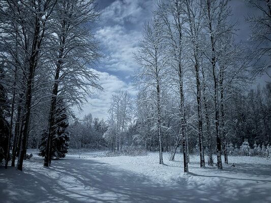 «Терем Русская былина» — фото 4
