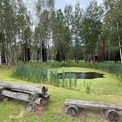 Коттедж «Терем Русская былина», Новгородская область