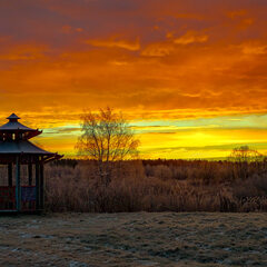 Коттедж «Терем Русская былина», Новгородская область