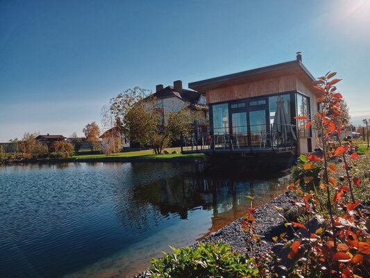 Колибри — фото 5