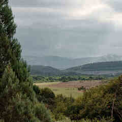 Дом Уркуста-парк, Крым