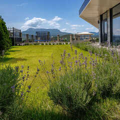 Гостевой дом Магия, Крым