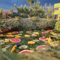 База отдыха Дома «В Курово», Московская область