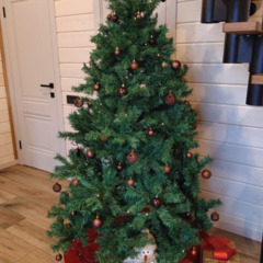 База отдыха Дома «В Курово», Московская область