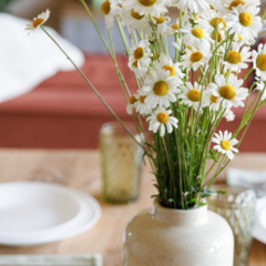 База отдыха Дома «В Курово», Московская область