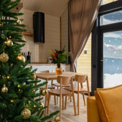 База отдыха Дома «В Курово», Московская область