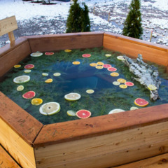 База отдыха Дома «В Курово», Московская область