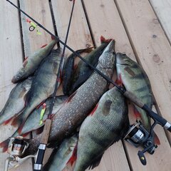 Гостевой дом Юккогуба, Республика Карелия