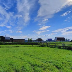 База отдыха Завьялово 22, Светлое, Алтайский край