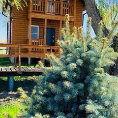 База отдыха Остров Тур, Володарский район, Астраханская область