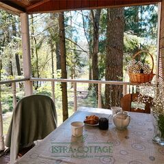 База отдыха Istra Cottage, Солнечногорский район, Московская область