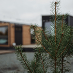 Дом Наедине, Республика Карелия