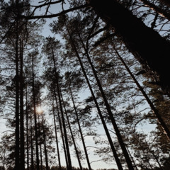 Дом Наедине, Республика Карелия