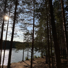 Дом Наедине, Республика Карелия