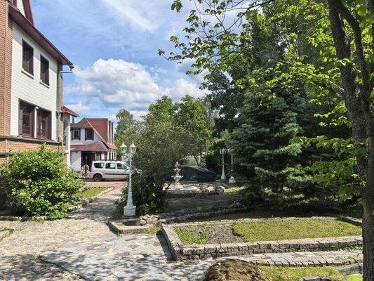 Медянка — фото 4