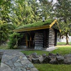 Дом Медянка, Ленинградская область