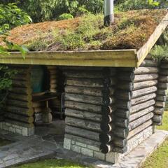 Дом Медянка, Ленинградская область