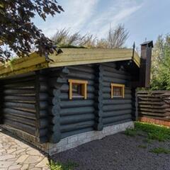 Дом Медянка, Ленинградская область