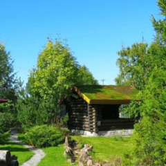 Дом Медянка, Ленинградская область