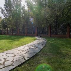 Дом Медянка, Ленинградская область