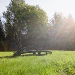 Дом Медянка, Ленинградская область