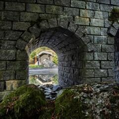 Дом Медянка, Ленинградская область