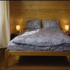 Дом Медянка, Ленинградская область