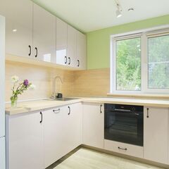 Дом Медянка, Ленинградская область