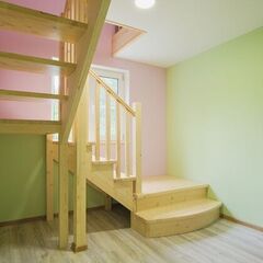 Дом Медянка, Ленинградская область