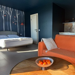 Отель Белая гора, Республика Алтай