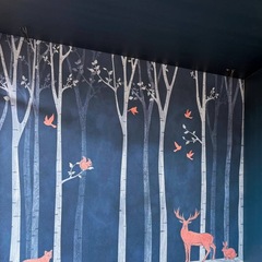 Отель Белая гора, Республика Алтай