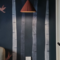 Отель Белая гора, Республика Алтай