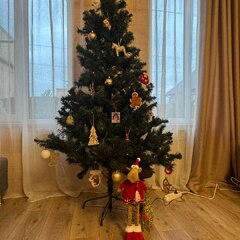 Дом Донское шале, Ростовская область