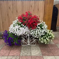 Дом отдыха у Кузьмича, Московская область