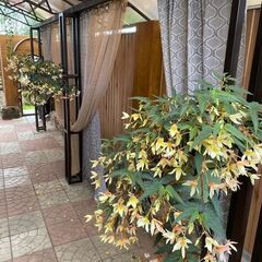 Дом отдыха у Кузьмича, Московская область