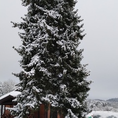 Гостевой дом Финский Рантуэ, Республика Карелия