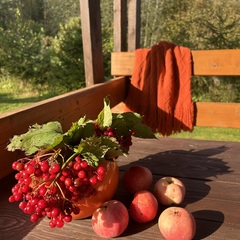 Дом на берегу реки, Республика Карелия