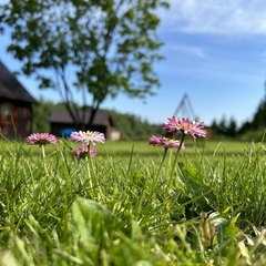 Дом на берегу реки, Республика Карелия