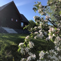 Дом на берегу реки, Республика Карелия