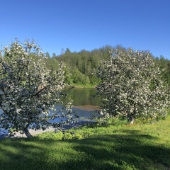 Дом на берегу реки, Республика Карелия