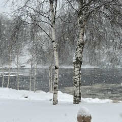 Дом на берегу реки, Республика Карелия