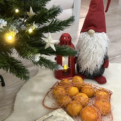 Дом на берегу реки, Республика Карелия