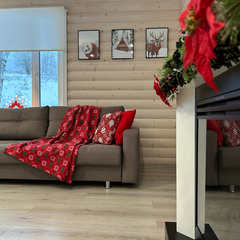 Дом на берегу реки, Республика Карелия