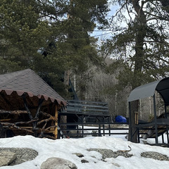 Дом в аренду Хвойная долина , Республика Карачаево-Черкесия 