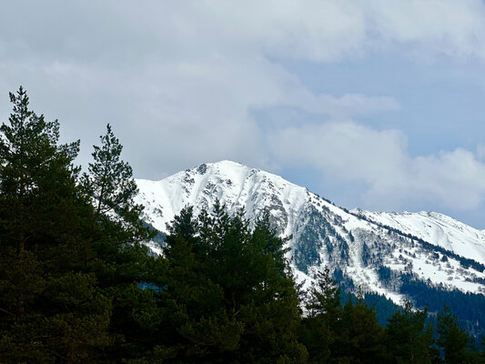 в аренду Хвойная долина  — фото 4