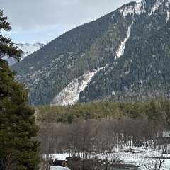 Дом в аренду Хвойная долина , Республика Карачаево-Черкесия 